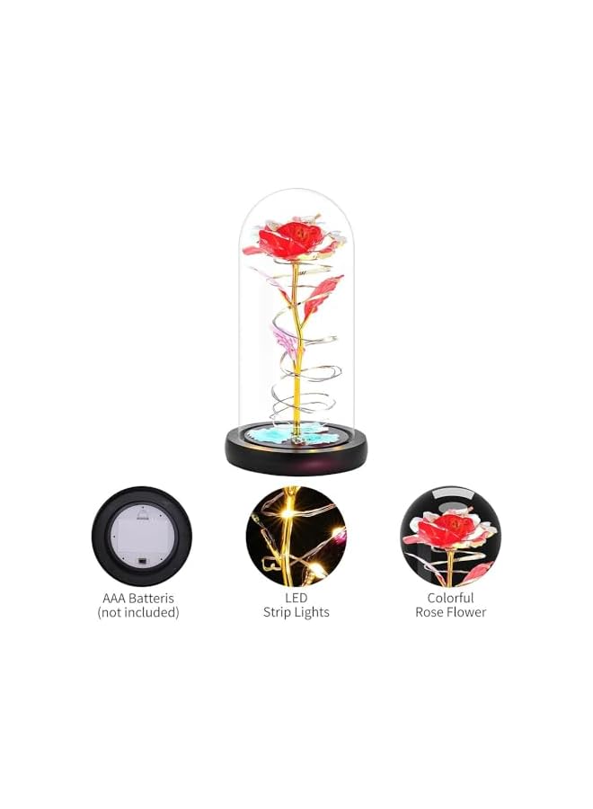 The Bros Childom Birthday Gifts for Women,Rose Flower Gifts for Mom from Daughter,Mothers Day Rose Gifts for Her,Colorful Blue Light Up Rose in Dome,Mom Gifts,Graduation Gifts for Wife Anniversary,Red - Image 3