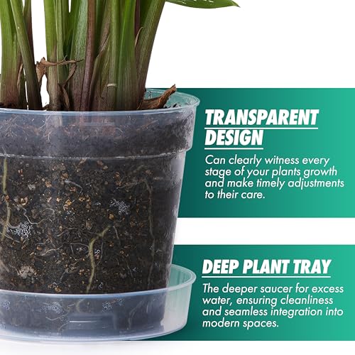 Phoenix Vine 6 Inch Clear Plastic Plant Pot with Drainage Holes, Interlocking & Detachable Tray - Deep Saucer - Durable BPA-Free Plastic, Transparent Design, Raised Base for Airflow, Set of 6, 92-X-A-5 - Image 3