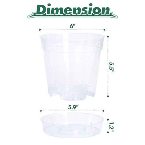 Phoenix Vine 6 Inch Clear Plastic Plant Pot with Drainage Holes, Interlocking & Detachable Tray - Deep Saucer - Durable BPA-Free Plastic, Transparent Design, Raised Base for Airflow, Set of 6, 92-X-A-5 - Image 4