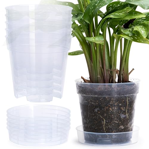Phoenix Vine 6 Inch Clear Plastic Plant Pot with Drainage Holes, Interlocking & Detachable Tray - Deep Saucer - Durable BPA-Free Plastic, Transparent Design, Raised Base for Airflow, Set of 6, 92-X-A-5 - Image 1