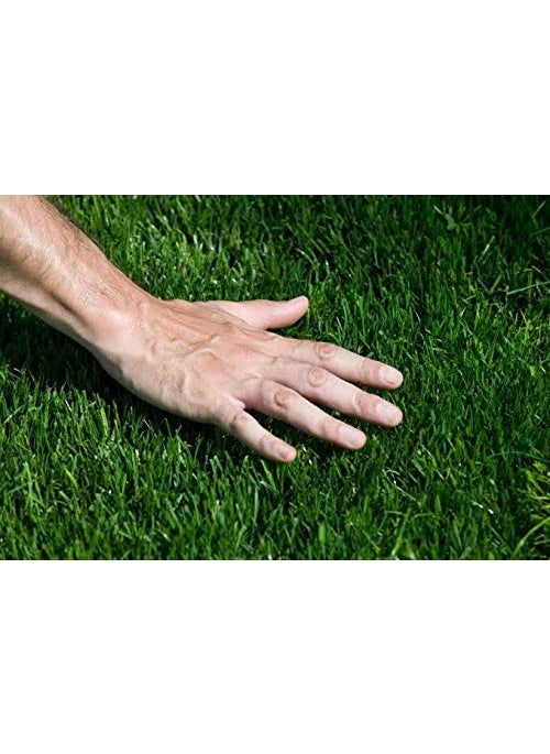 CARPET PLANET - CARPET PLANET Polypropylene Artificial Grass High Density Green 3Tone Use As Balcony Garden Carpet Door Mat 1 Piece Rectangular - Image 1