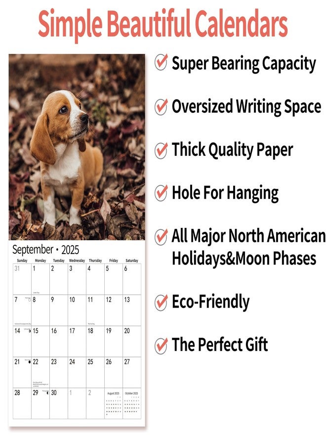 windrio 2026 Wall Calendar,Calendar 2026, November 2025 - December 2026, Wall Calendar Beagles, 12" x 24" Opened,Full Page Months Thick & Sturdy Paper for Calendar Organizing & Planning - Image 5