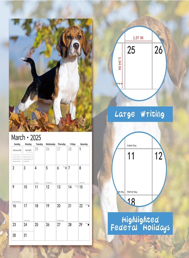 windrio 2026 Wall Calendar,Calendar 2026, November 2025 - December 2026, Wall Calendar Beagles, 12" x 24" Opened,Full Page Months Thick & Sturdy Paper for Calendar Organizing & Planning - Image 3