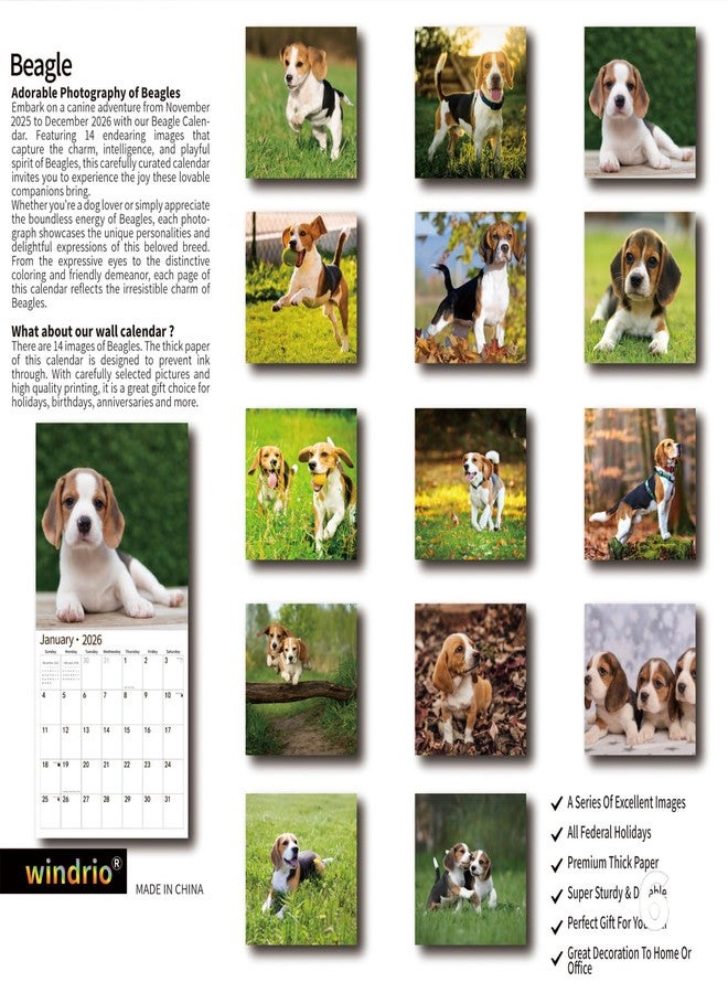 windrio 2026 Wall Calendar,Calendar 2026, November 2025 - December 2026, Wall Calendar Beagles, 12" x 24" Opened,Full Page Months Thick & Sturdy Paper for Calendar Organizing & Planning - Image 2