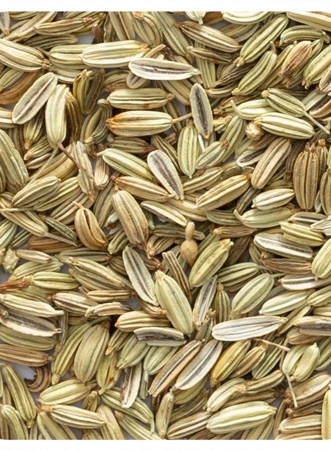 Organic Whole Fennel Seed 16 oz (453 g)