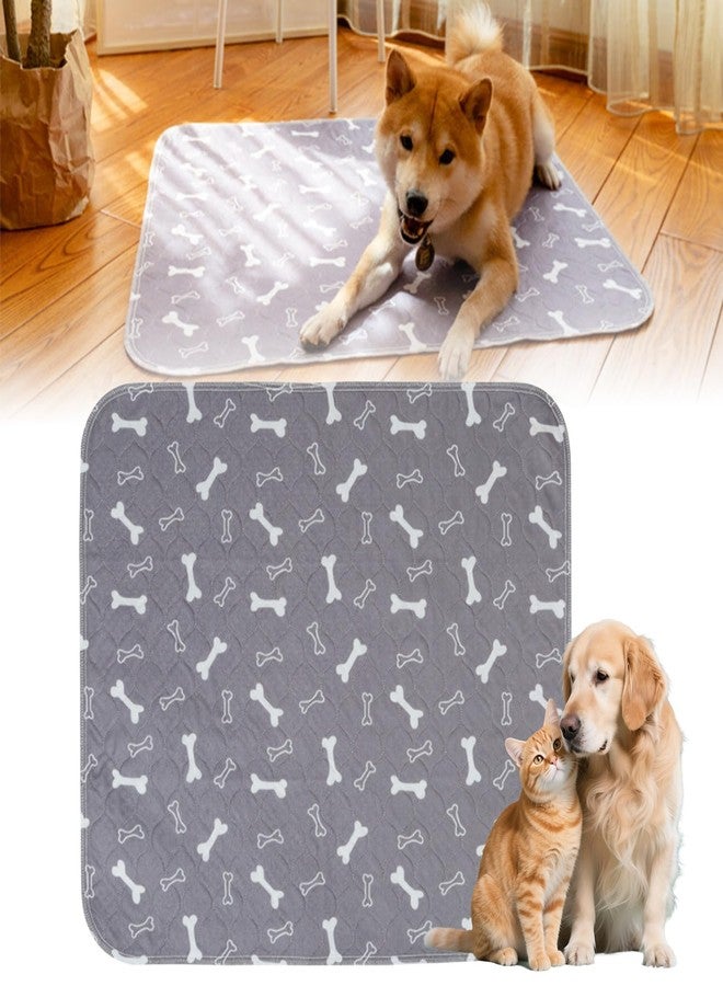 MeiAid PuppyPad Pee Pads, Reusable Puppy Pads with Pheromones, Durable Leak-Proof & Anti-Slip Pet Training Pads for Dogs Indoor Use (Medium：16" × 24") - Image 1