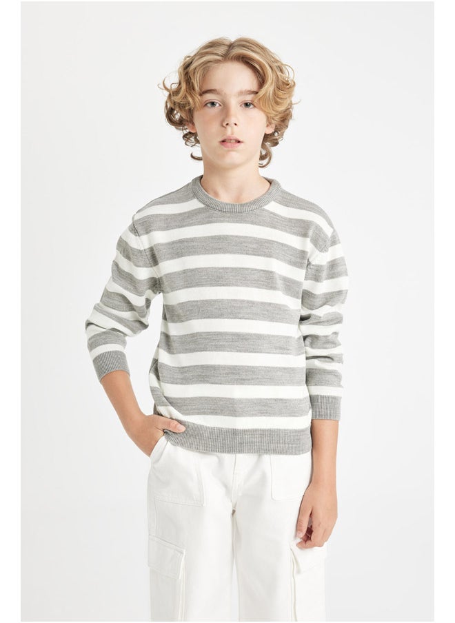 Boy Tricot Regular Fit Crew Neck Long Sleeve Pullover - pzsku/Z56100C83034E3F85E1ABZ/45/_/1723976350/3cdcf89e-8157-4942-baab-365373be985c