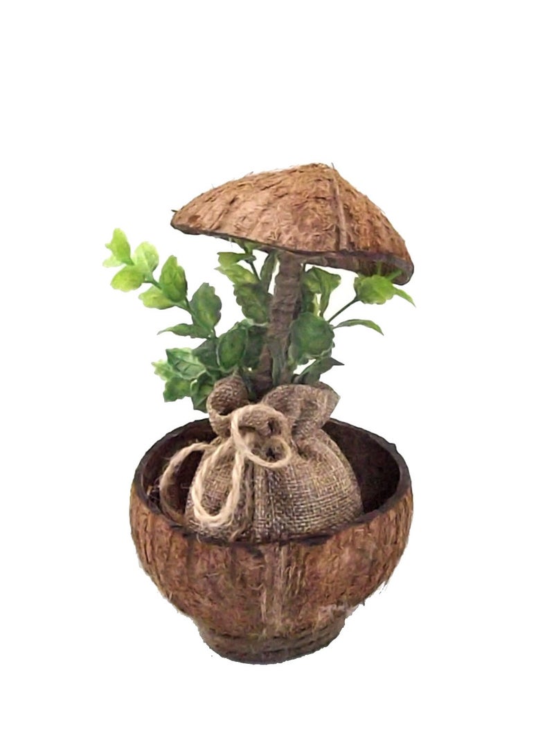 ارك نبات صناعي في اصيص جوز هند