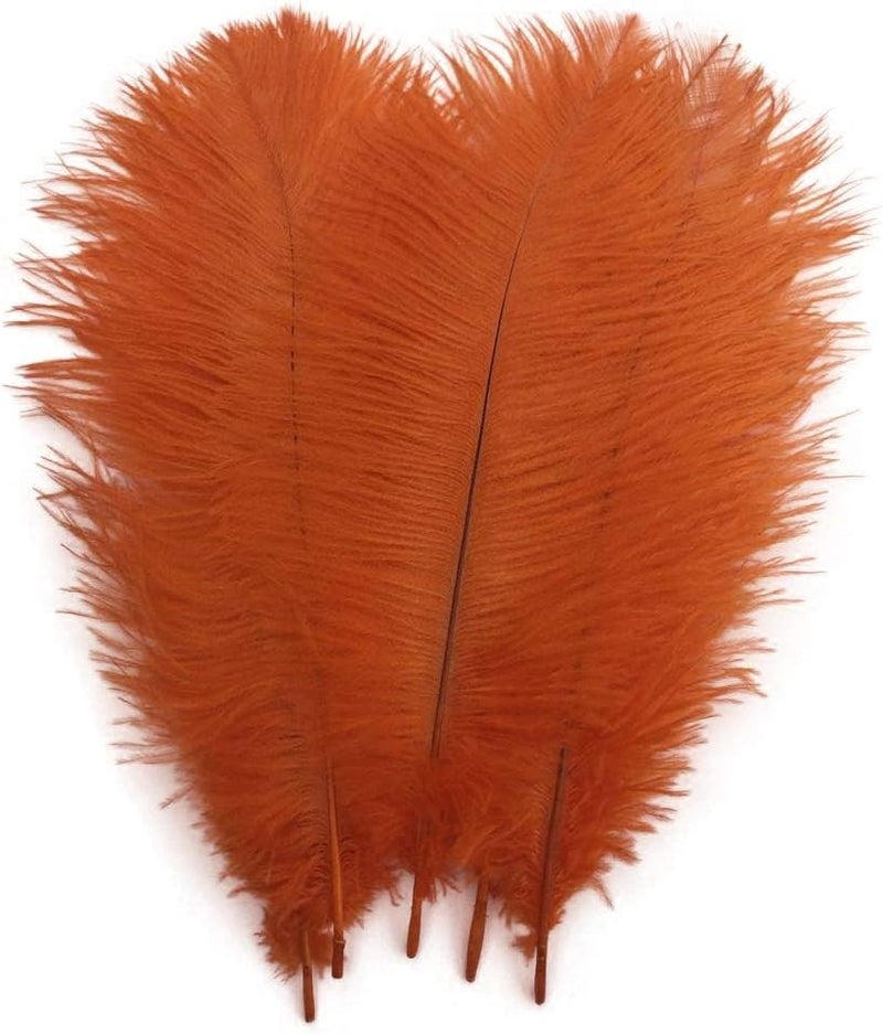Shekyeon Orange 10-12inch 25-30cm Ostrich Feather Home Decoration DIY Craft Pack of 10 - Image 1