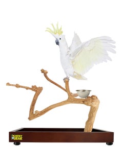 CHEWY BEAK Bird Stand Table Top Natural wooden Parrot Play Stand Indonesian Java wood Tree Perches with Stainless steel feeder medium size  - Image 1