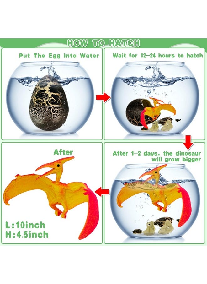 AMENON [ 4.5" Large Size & Grow 500% ] 4 Pack Easter Dinosaur Eggs Hatching Surprise Eggs Grow In Water Crack Egg Science Toys Easter Basket Stuffers Gift For Toddler Kids Boys Girls (Black)  - Image 3