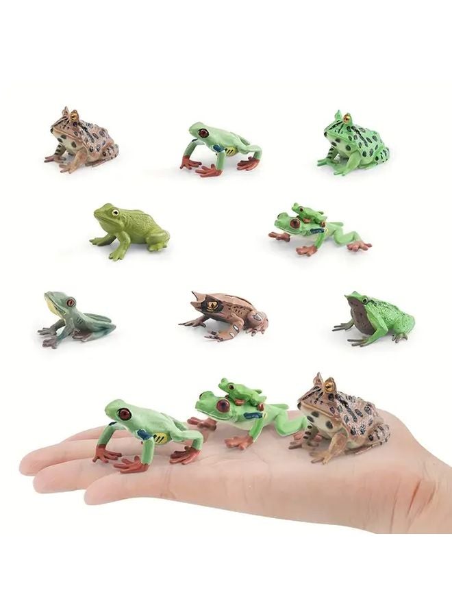 Model 1335 Frog Realistic Tree Frog Static Desktop Ornament Charles Darwin - Image 2
