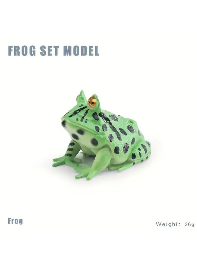 Model 1335 Frog Realistic Tree Frog Static Desktop Ornament Charles Darwin - Image 1