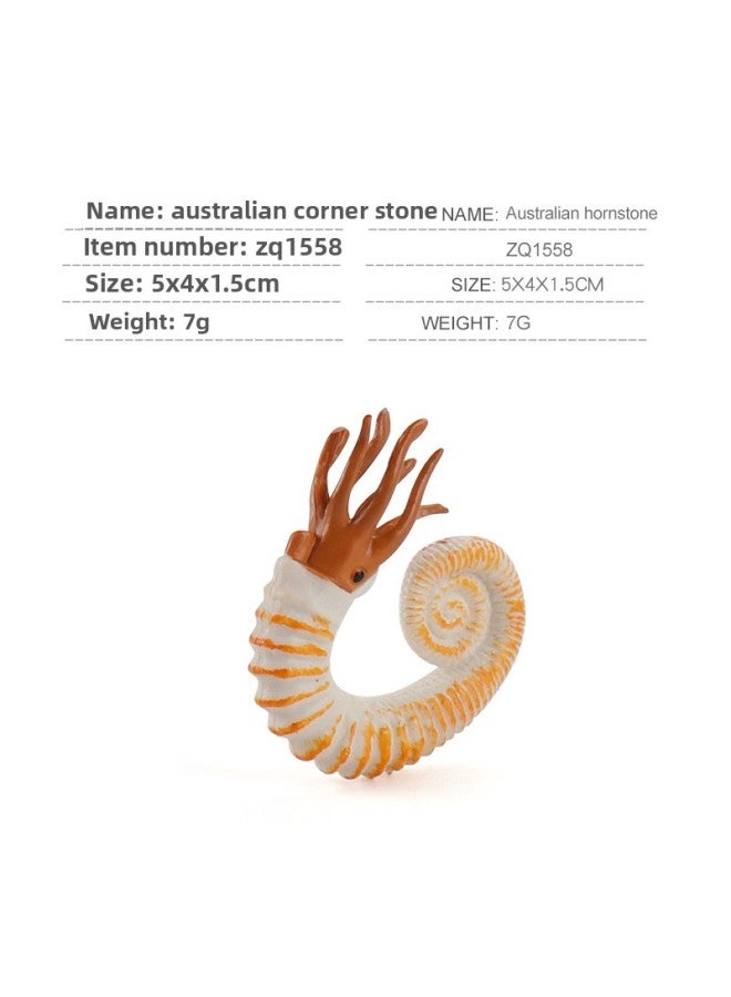 Hot Sale Ancient Marine Life Model Head Turtle Strange Shrimp Sea Scorpion Microscopic Seabed Deep Sea Animal Ornaments-Color:ZQ1558 Australian Corner Stone 7g  - Image 1