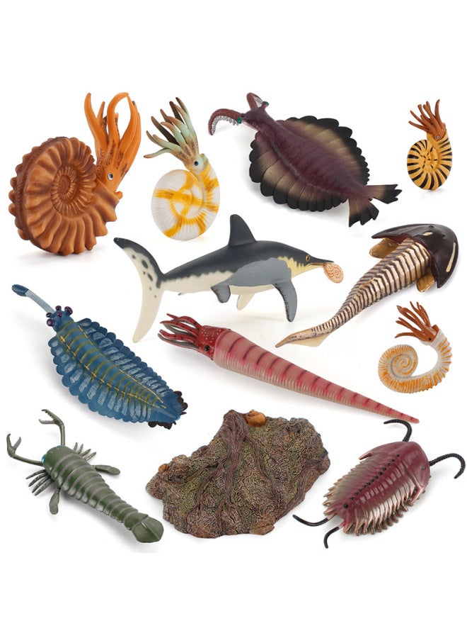 Hot Sale Ancient Marine Life Model Head Turtle Strange Shrimp Sea Scorpion Microscopic Seabed Deep Sea Animal Ornaments-Color:ZQ1558 Australian Corner Stone 7g  - Image 3
