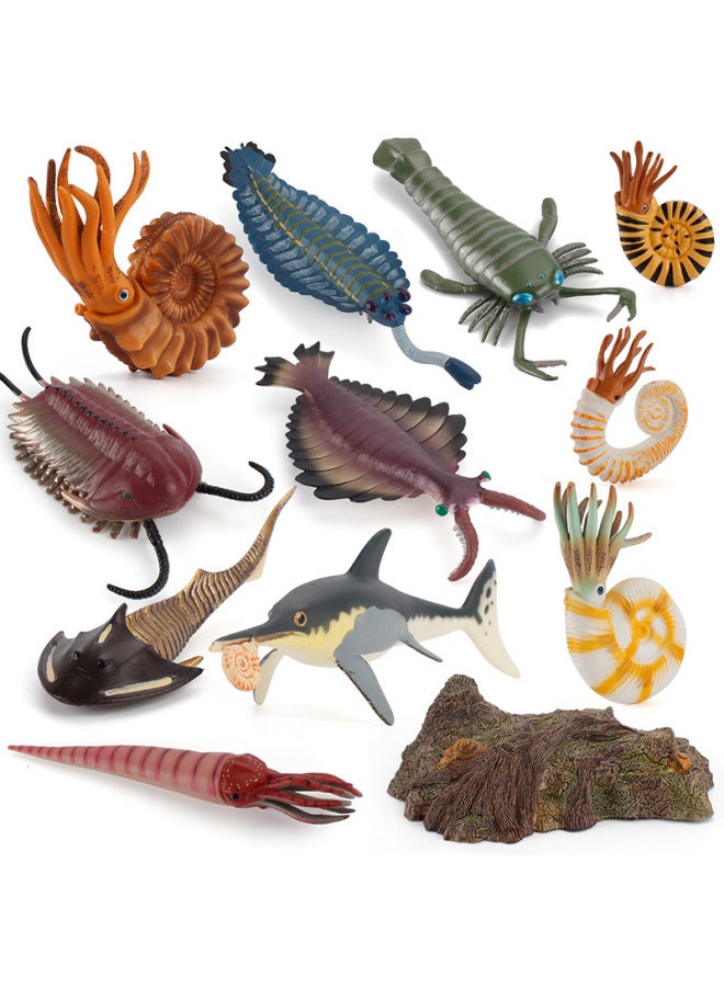 Hot Sale Ancient Marine Life Model Head Turtle Strange Shrimp Sea Scorpion Microscopic Seabed Deep Sea Animal Ornaments-Color:ZQ1558 Australian Corner Stone 7g  - Image 4
