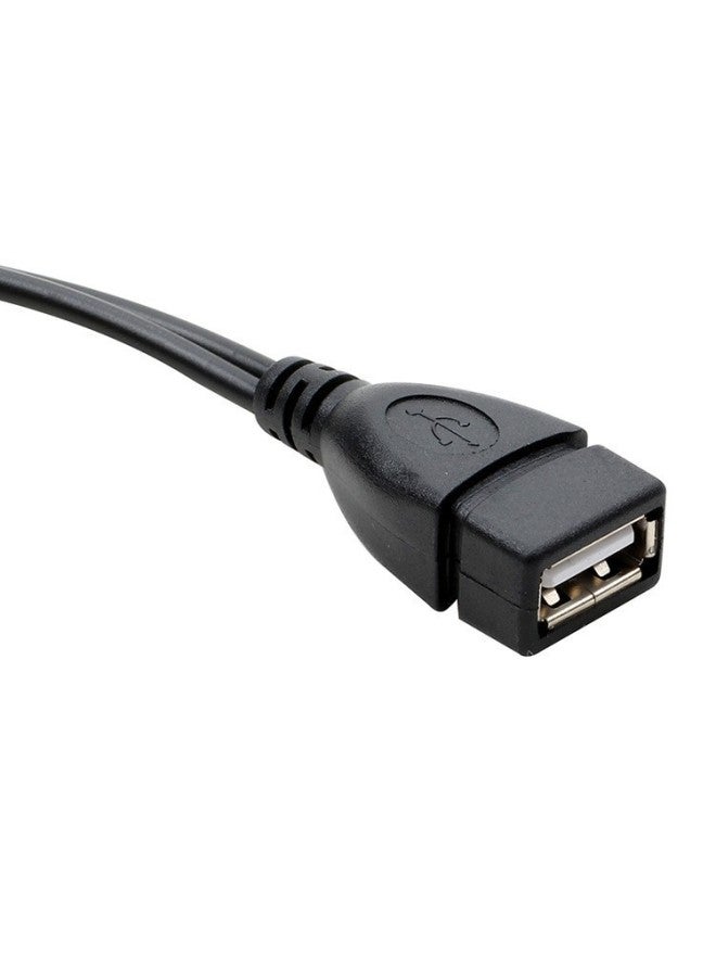 كابل بيانات USB OTG صغير الحجم مزود بالطاقة الخارجية للهواتف المحمولة والأجهزة اللوحية مع منفذ إمداد الطاقة كابل USB صغير - اللون: USB أنثى إلى ذكر صغير + أنثى - Image 2