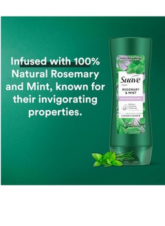 Suave Suave Shampoo and Conditioner Set, Rosemary & Mint - Invigorating Rosemary Mint Clarifying Shampoo & Conditioner, Hair Strengthening, Scented, 12.6 Oz Ea (2 Piece Set)  - Image 3