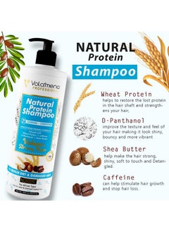 VOLAMENA WITH DEVICE Volamena Natural Protein 2 In 1 Hair Shampoo For Hair Fall Control For Women & Men 500 Ml  - Image 4
