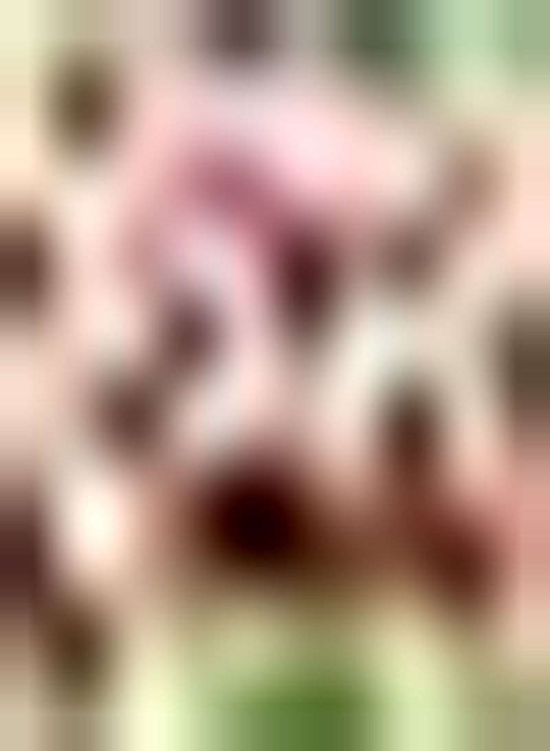 جي جوت 10 قطع من زهور التولبن المزخرفة الفريدة من نوعها صنف حدائق نباتية مناسبة لنباتات الزينة والنباتات - Image 1