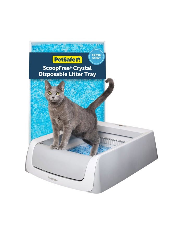 PetSafe ScoopFree Crystal Pro Self Cleaning Litter Box, Automatic Cat Litter Box - Comes with 1 Disposable Crystal Litter Tray (Grey, Uncovered) - Image 1