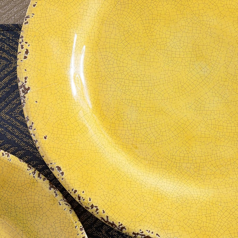 ZAROCRUS Farmhouse Melamine Dinner Plate Set 6 Piece 11inch Chip Resistant Lightweight Round Kitchen Plates Set for Salad Pasta Unbreakable RV Camping Dining Serving Dishes for Parties Yellow - Image 5