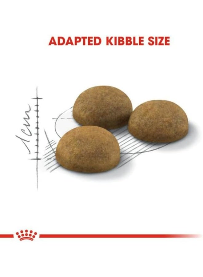 رويال كانين طعام القطط رويال كانين للداخل ذو الشعر الطويل، 2 كجم - Image 2