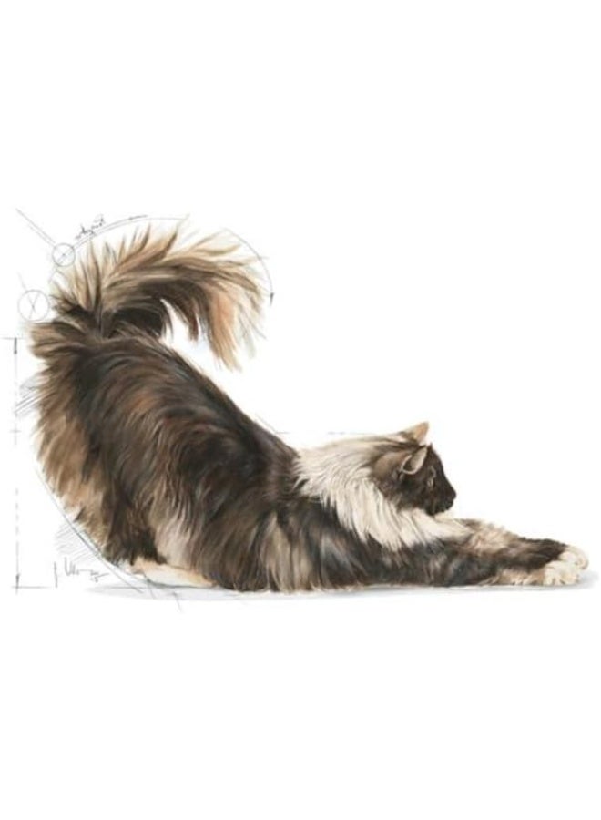 رويال كانين طعام القطط رويال كانين للداخل ذو الشعر الطويل، 2 كجم - Image 5