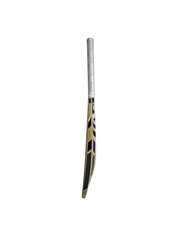 SG Sierra Plus Kashmir Willow Cricket Bat ( Size: Size 5,Leather Ball ) - Image 3
