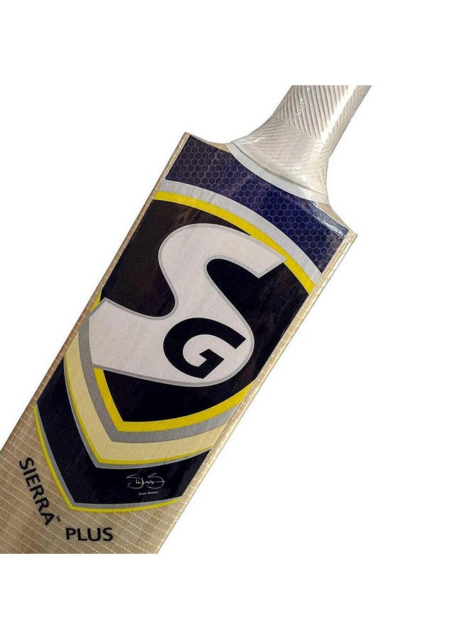 SG Sierra Plus Kashmir Willow Cricket Bat ( Size: Size 5,Leather Ball ) - Image 2