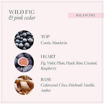 Grace Cole Wild Fig Pink Cedar Exfoliating Body Scrub 238ml Refreshing Hydrating Essential Oils Vegan and Cruelty Free No SLS or Parabens Made In England - Image 3