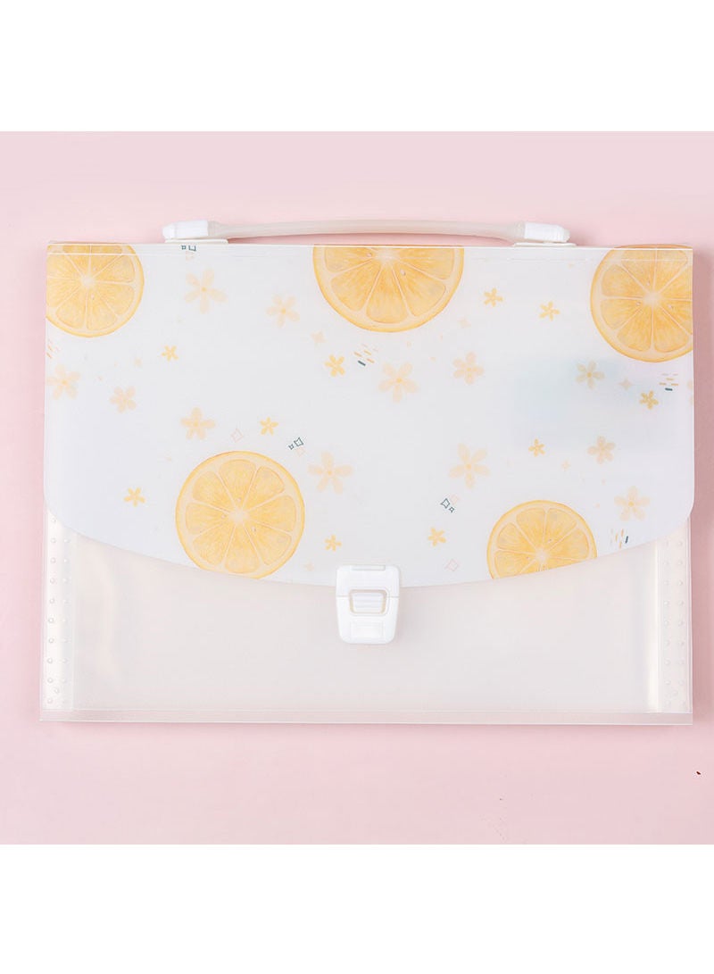 حامل مستندات محمول قابل للتوسيع ومنظم ملفات مقاس A4 - Image 1