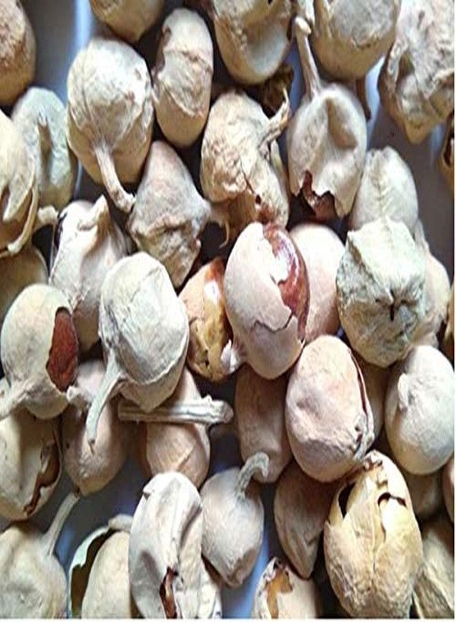 بانير دودا/بانير دودي/ويثانيا كواجلانز/بانير فول (250 جرام)  - Image 1