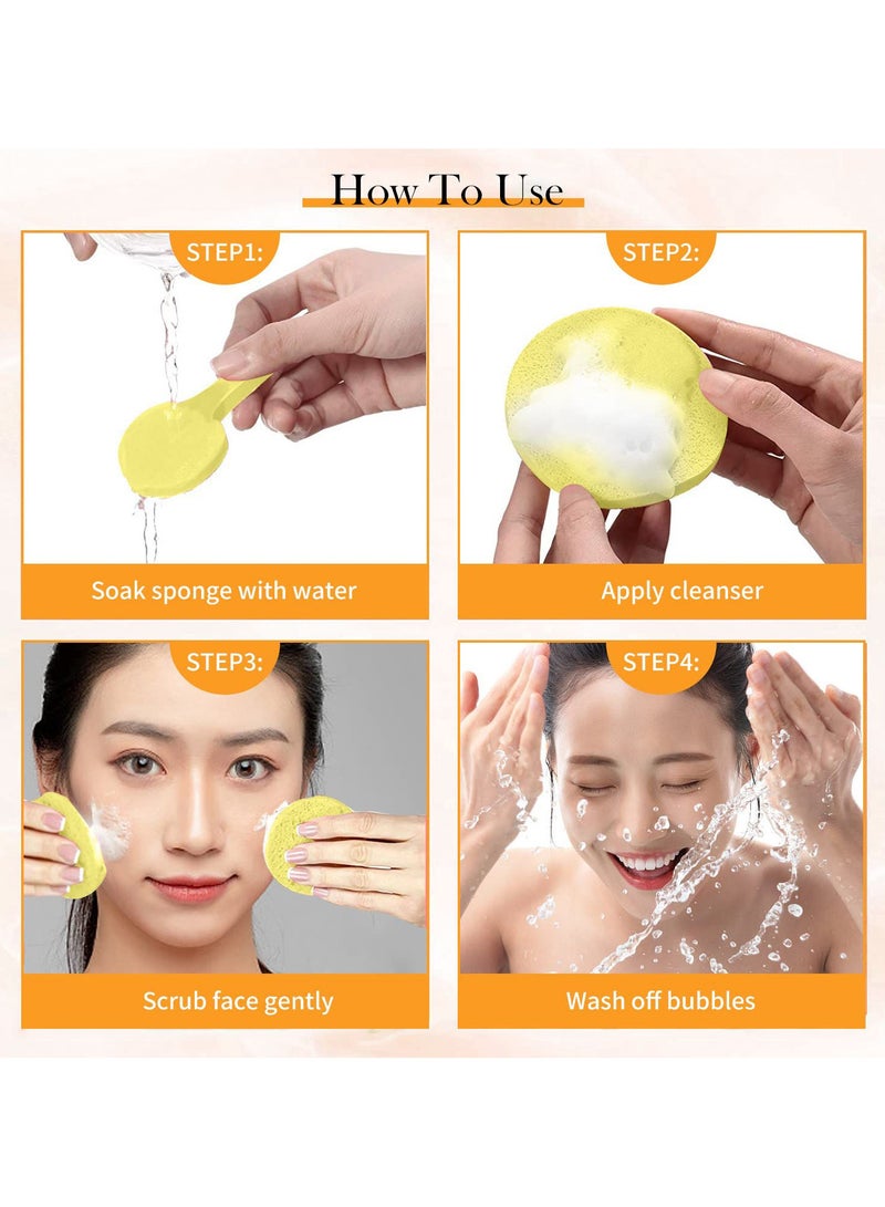 12-Piece Compressed Facial Sponges - Soft Reusable Cleansing & Makeup Sponges - Image 2