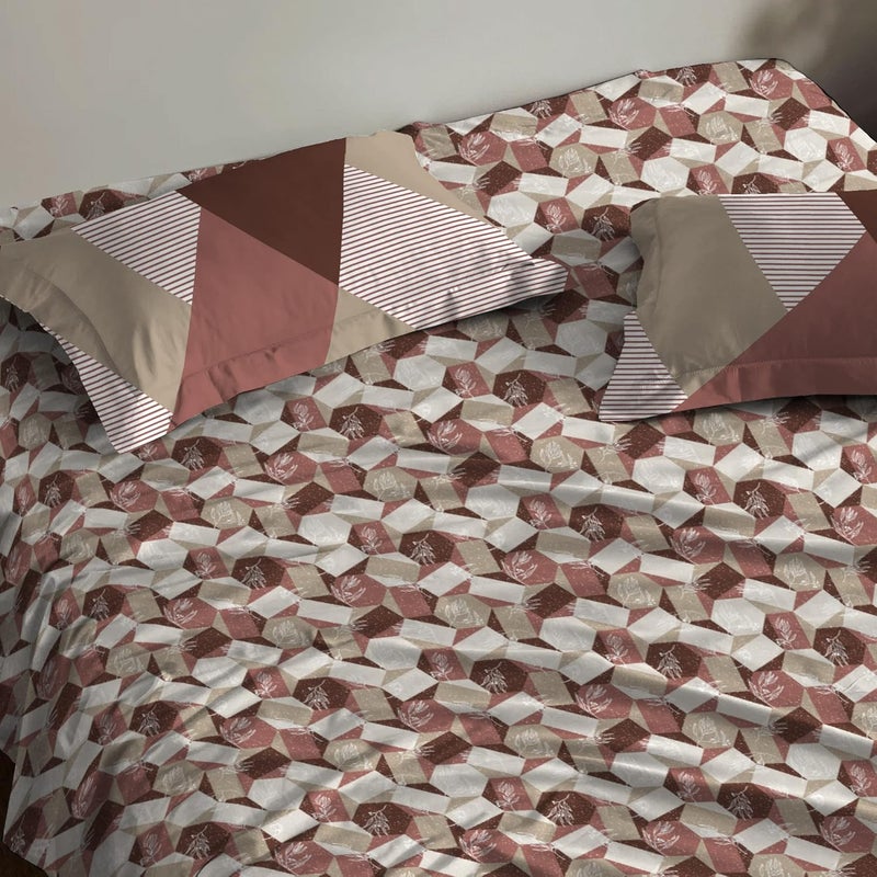 Trident TRIDENT Carnival Gift Box Collection 100 Cotton Bed Sheet 3Piece Set 1 Bedsheet and 2 Pillowcases Anti Microbial Finish 144 Thread CountQueen Size SheetArcadia Brown  - Image 3