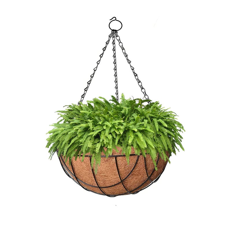 Bianco 10" Coir Hanging Basket/Coco Gardening Liner with Hanging Pots and Metal Hanging Chain/Hanging Planters- Set of 6 (Brown) - Image 5