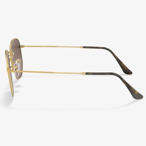 HiCycle2 Replacement Temple Arm,Temple Tips for RB3447 RB3547N RB3548N RB3647N Sunglasses,with 4 Screws,1 Screwdriver. (golden temples&brown tips&golden screws) - Image 5