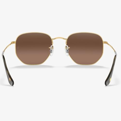 HiCycle2 Replacement Temple Arm,Temple Tips for RB3447 RB3547N RB3548N RB3647N Sunglasses,with 4 Screws,1 Screwdriver. (golden temples&brown tips&golden screws) - Image 4