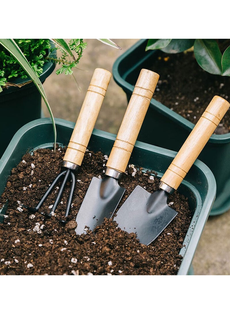 Generic Planting small tool set 3pcs set  - Image 2