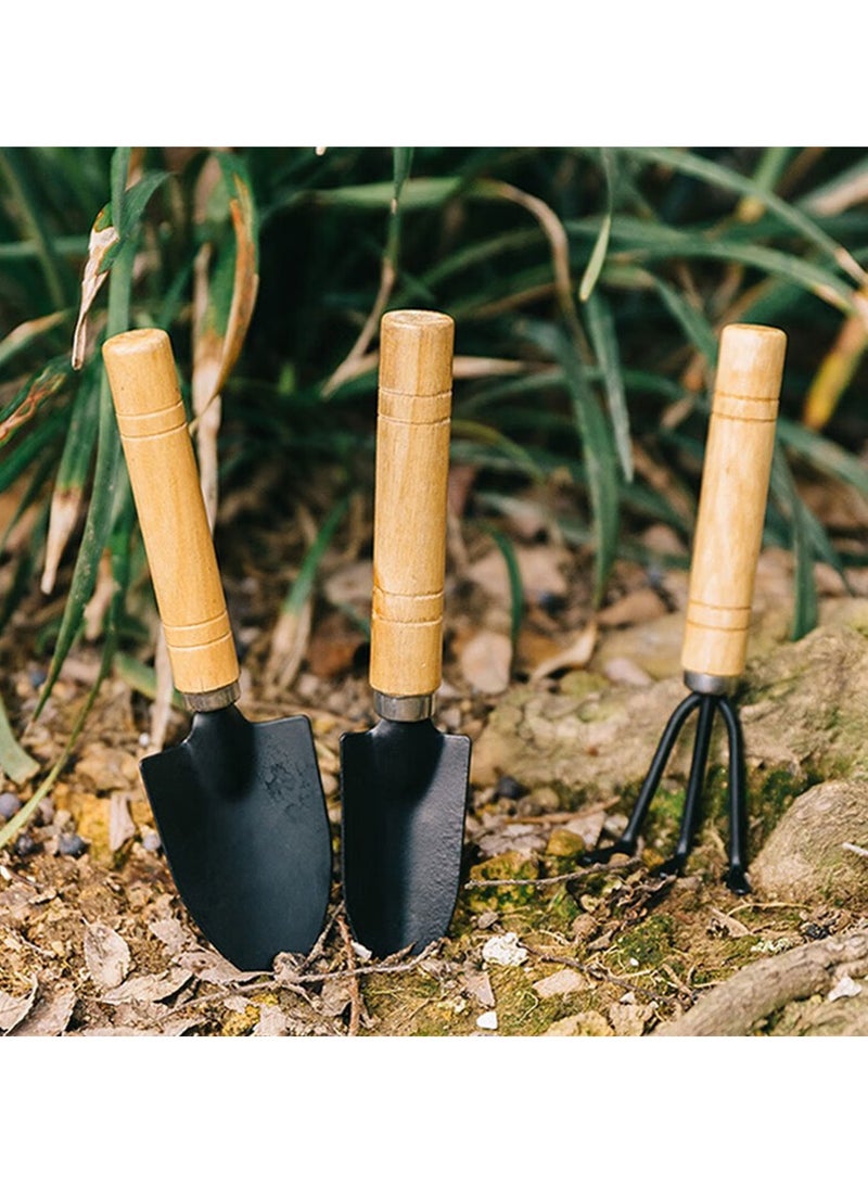 Generic Planting small tool set 3pcs set  - Image 3
