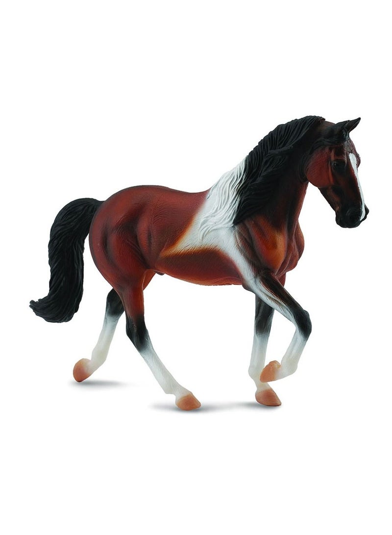 كوليكا - حصان المشي تينيسي - 88450