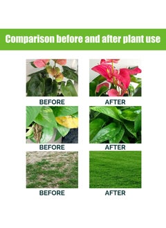 CMGTYYD 100ml Plant Nutrient Solution, Natural Liquid Fertilizer And Plant, Vegetable Plant Fertilisers, Nutrient Solution, Plant Growth Enhancer For all leaf plants Soils, Plants, Hydroponic And Garden Care  - Image 4
