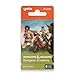 Yoto Dungeons Dragons Dungeon Academy 3 Kids Audio Cards for Use with Player Mini Allin1 Audio Device Educational ScreenFree Listening with Fun Playtime Bedtime Travel Stories Ages 6 - Image 3