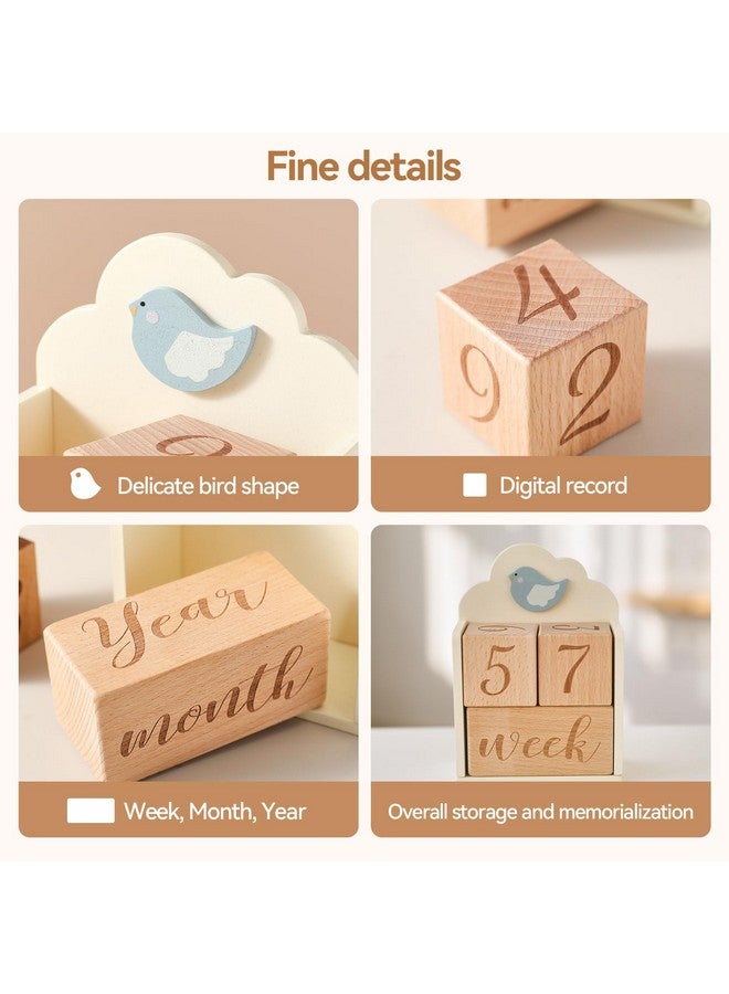 Promise Babe Milestone Blocks Set of 3 with Bird Storage Box, Baby Age Blocks for Monthly Weekly Milestone Wooden Photo Props Set Perfect for Baby Shower and Keepsake Gifts - Image 4
