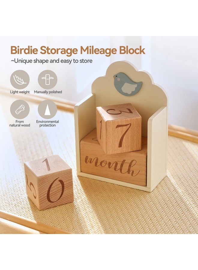Promise Babe Milestone Blocks Set of 3 with Bird Storage Box, Baby Age Blocks for Monthly Weekly Milestone Wooden Photo Props Set Perfect for Baby Shower and Keepsake Gifts - Image 3