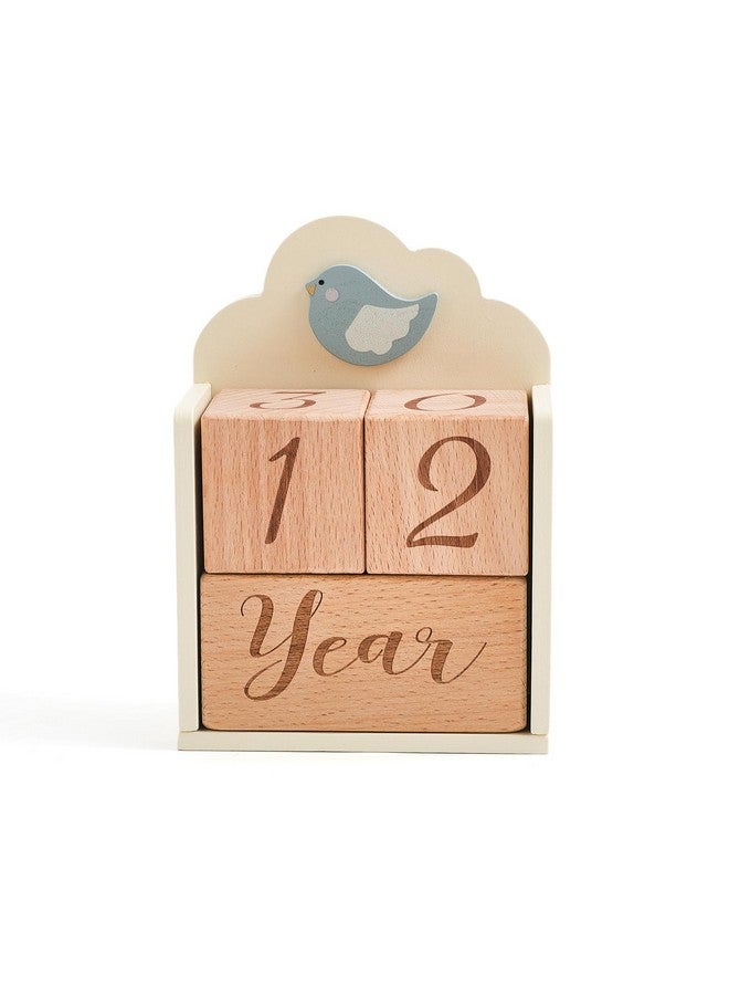 Promise Babe Milestone Blocks Set of 3 with Bird Storage Box, Baby Age Blocks for Monthly Weekly Milestone Wooden Photo Props Set Perfect for Baby Shower and Keepsake Gifts - Image 1