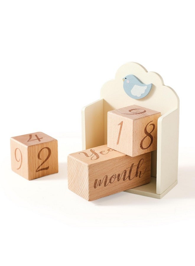 Promise Babe Milestone Blocks Set of 3 with Bird Storage Box, Baby Age Blocks for Monthly Weekly Milestone Wooden Photo Props Set Perfect for Baby Shower and Keepsake Gifts - Image 2