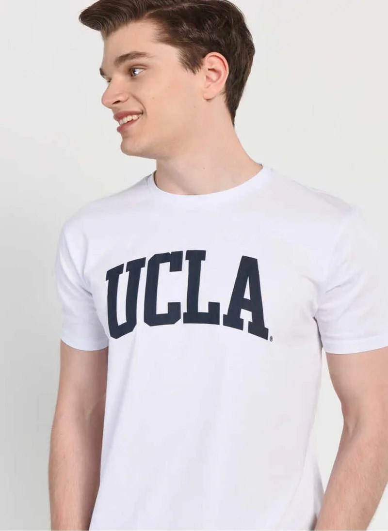 يو سي ال اي كالفير