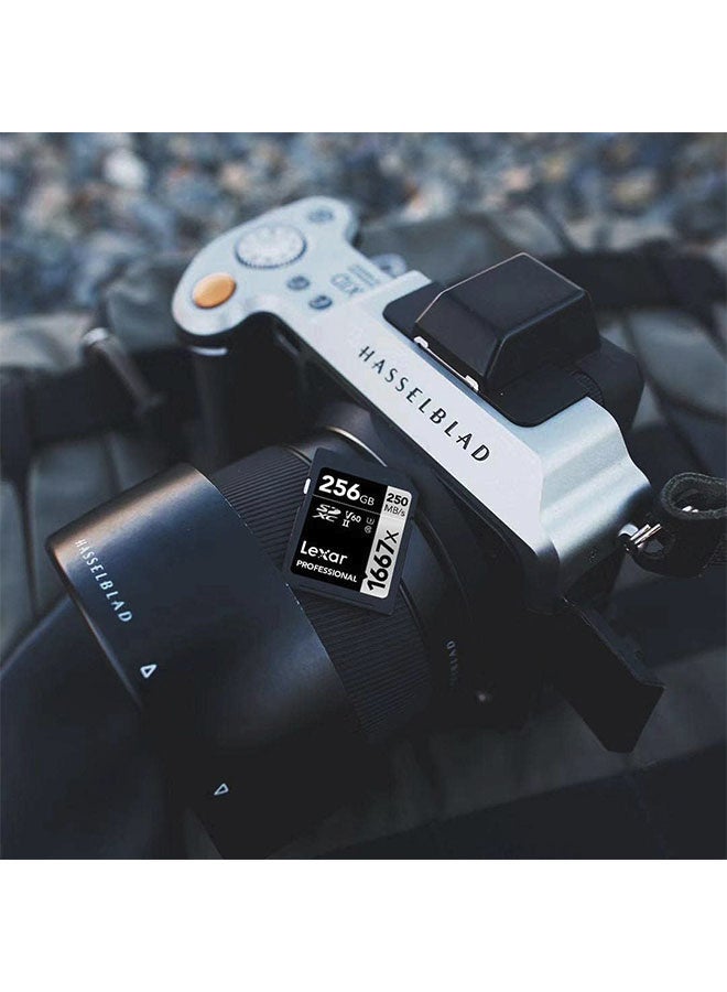 Lexar Professional 1667x SD Card 256GB, SDXC UHS-II Memory Card, Up to 250MB/s Read, 120MB/s Write, Class 10, U3, V60 SD for Professional Photographer, Videographer, Enthusiast - Image 3