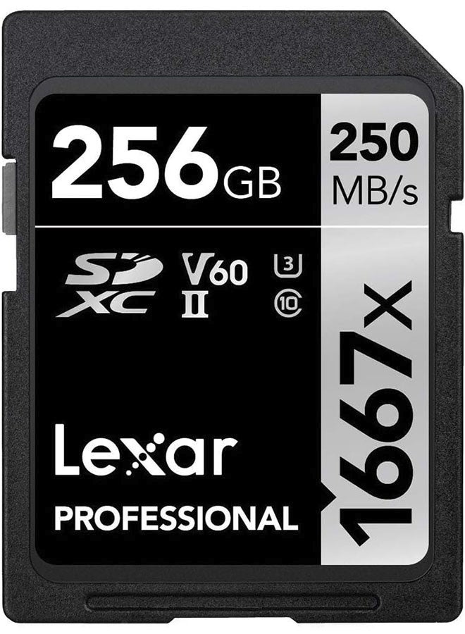 Lexar Professional 1667x SD Card 256GB, SDXC UHS-II Memory Card, Up to 250MB/s Read, 120MB/s Write, Class 10, U3, V60 SD for Professional Photographer, Videographer, Enthusiast - Image 1